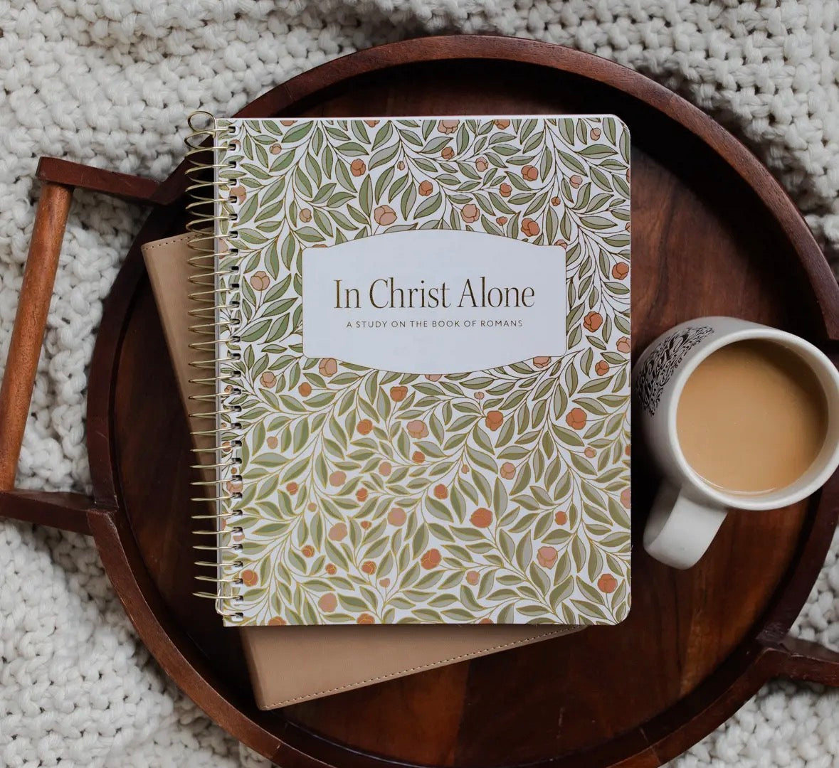 The Daily Grace Co | In Christ Alone Bible Study