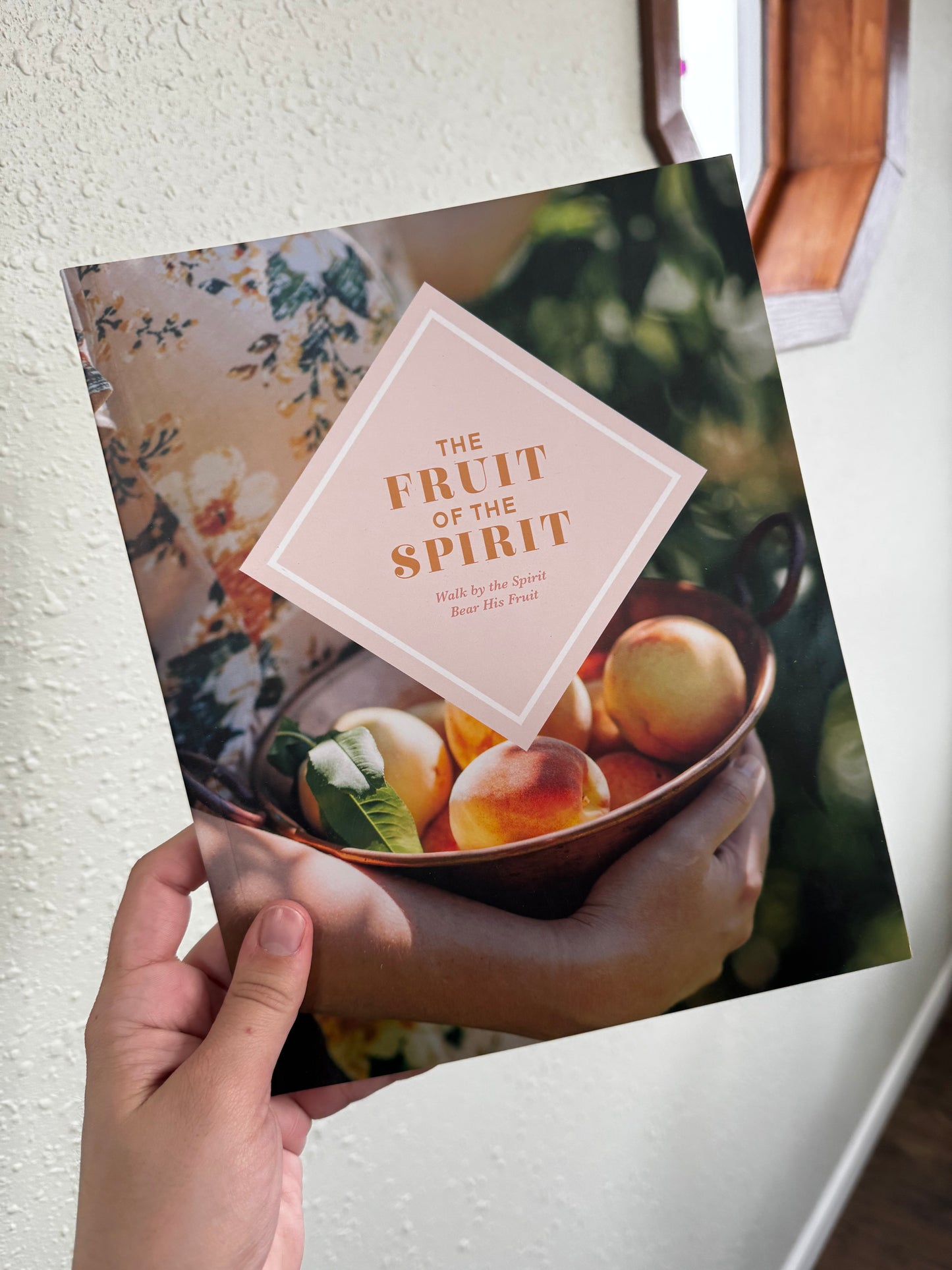 The Daily Grace Co. The Fruit of the Spirit