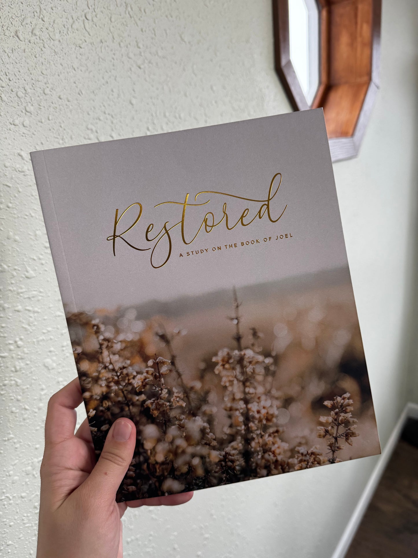 The Daily Grace Co. Restored | A study on the book of Joel