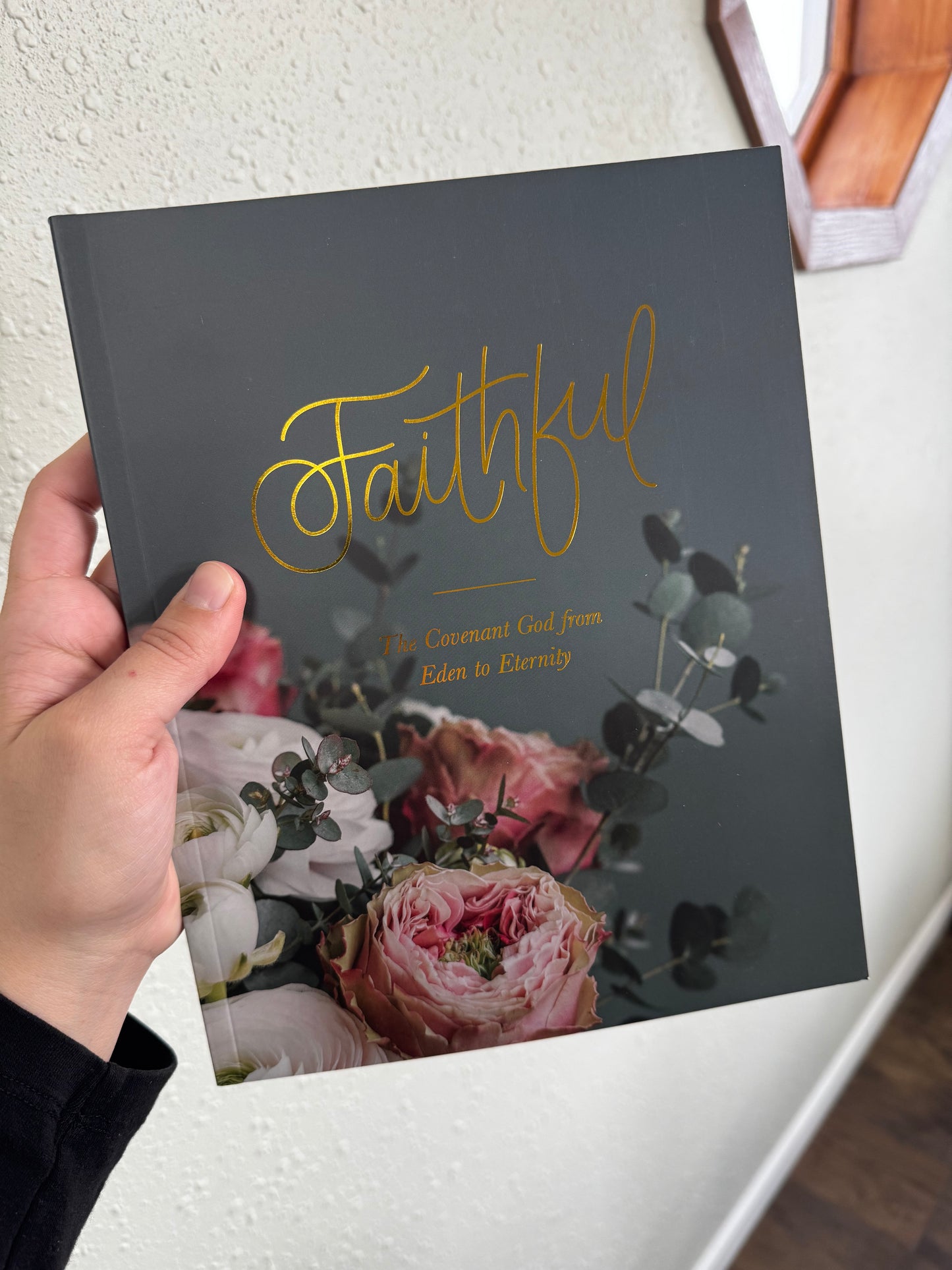 The Daily Grace Co. Faithful | Bible Study on the Covenants