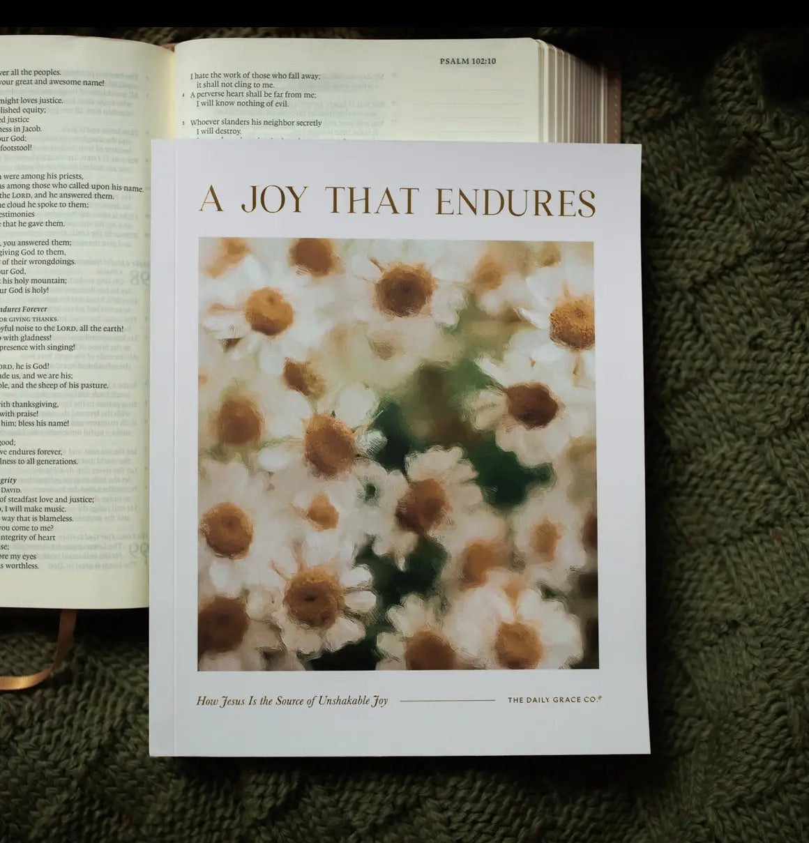 The Daily Grace Co | A Joy That Endures - Bible Study