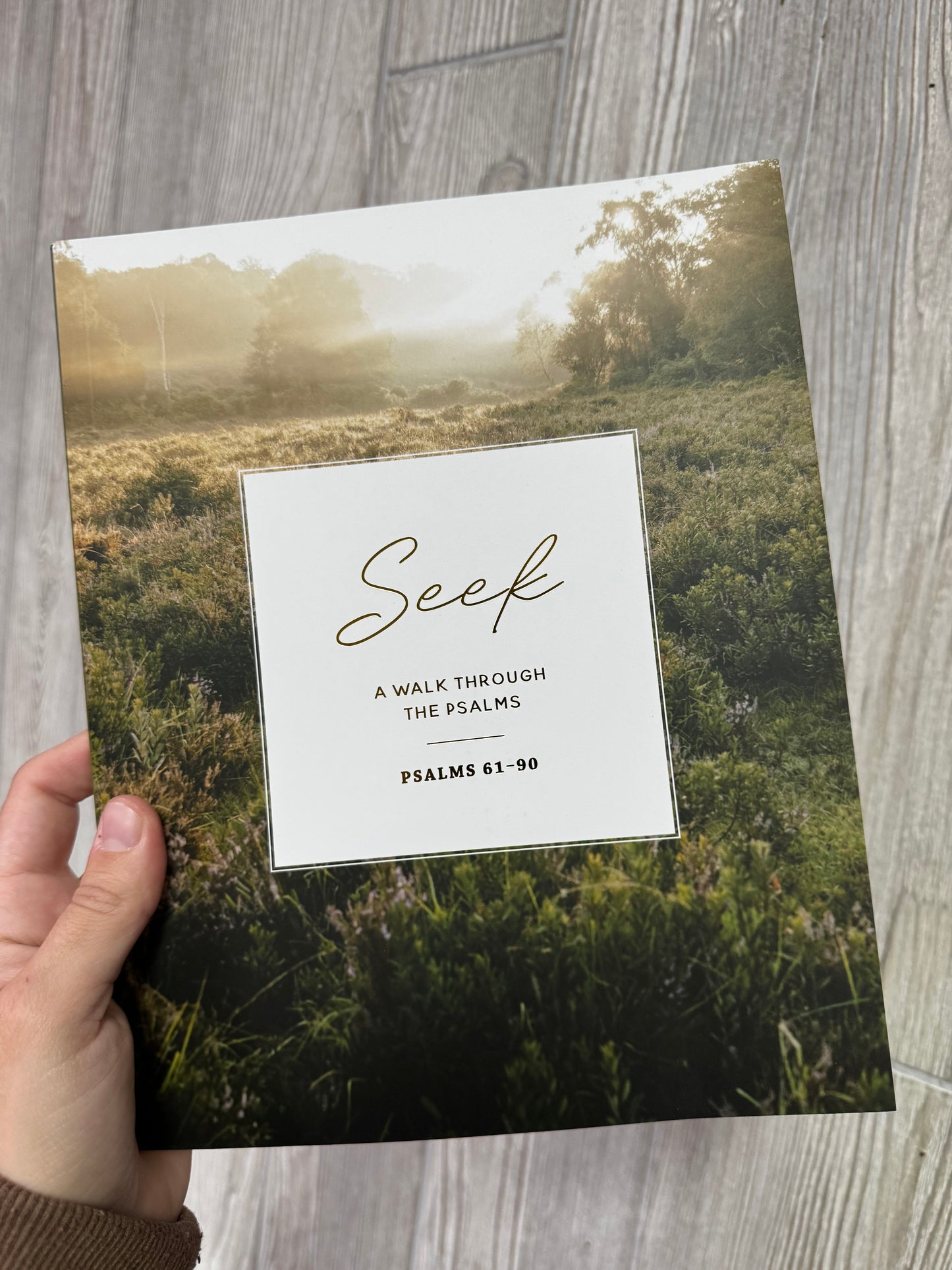 The Daily Grace Co. | Seek: A walk through Psalms 61-90