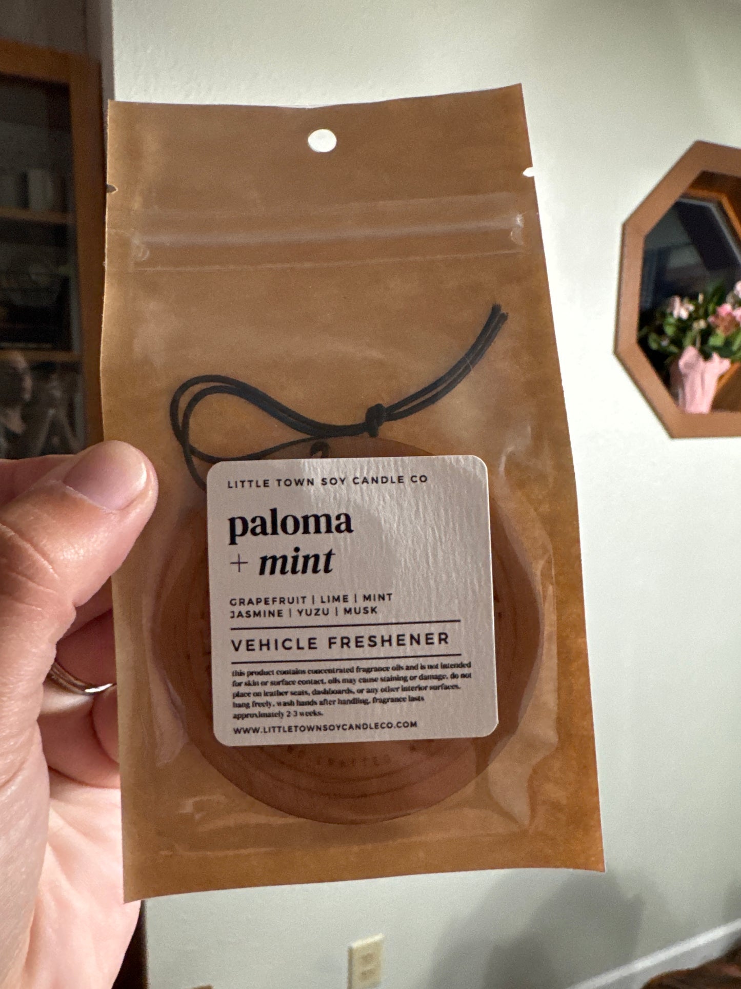Little Town Soy Candle Co Candle | Paloma + Mint |