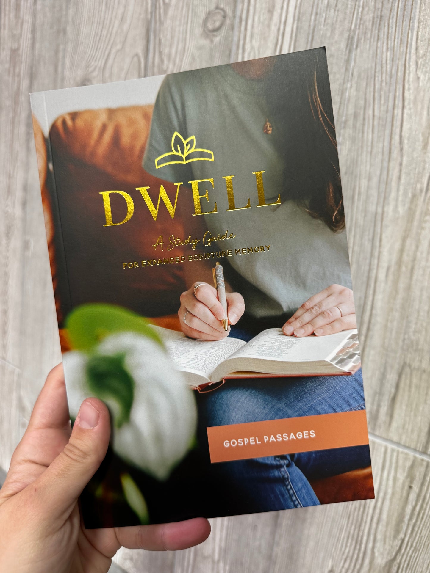 The Daily Grace Co. | Dwell Scripture Memory Journal | Gospel Passages