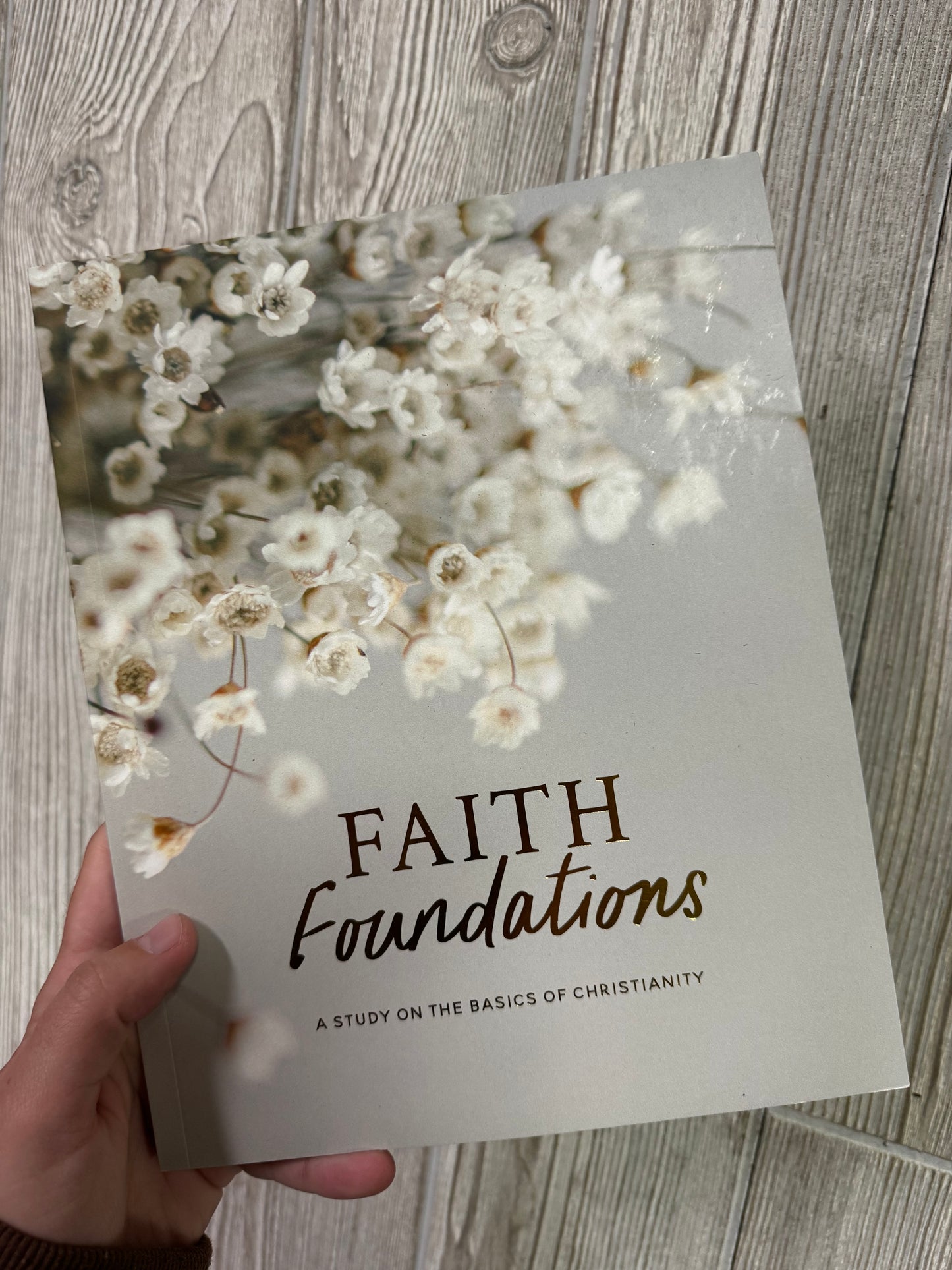 The Daily Grace Co. | Faith Foundations: a Study on the Basics of Christianity