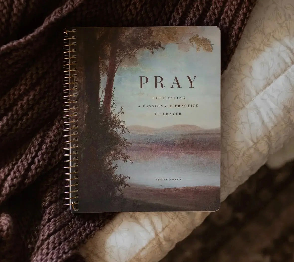 The Daily Grace Co | Pray Bible Study