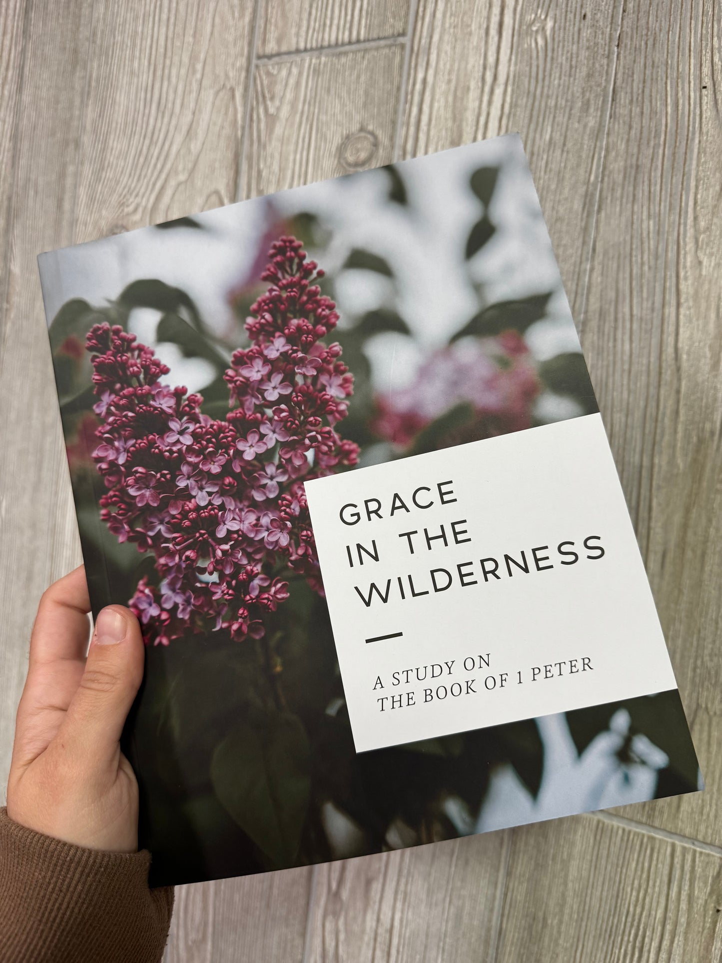 The Daily Grace Co. | Grace in the Wilderness: Study on 1 Peter