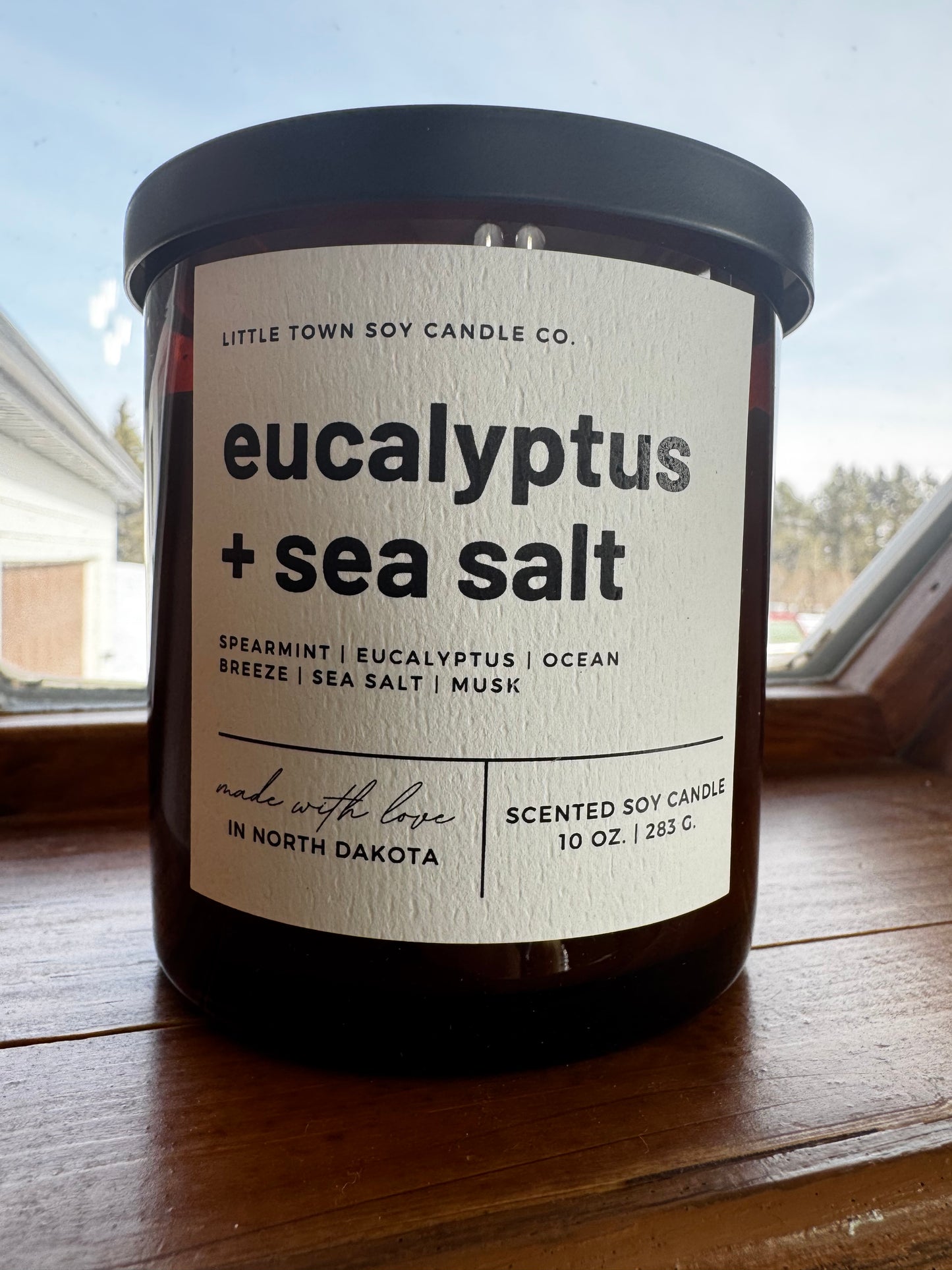 Little Town Soy Candle Co. Eucalyptus + Sea Salt