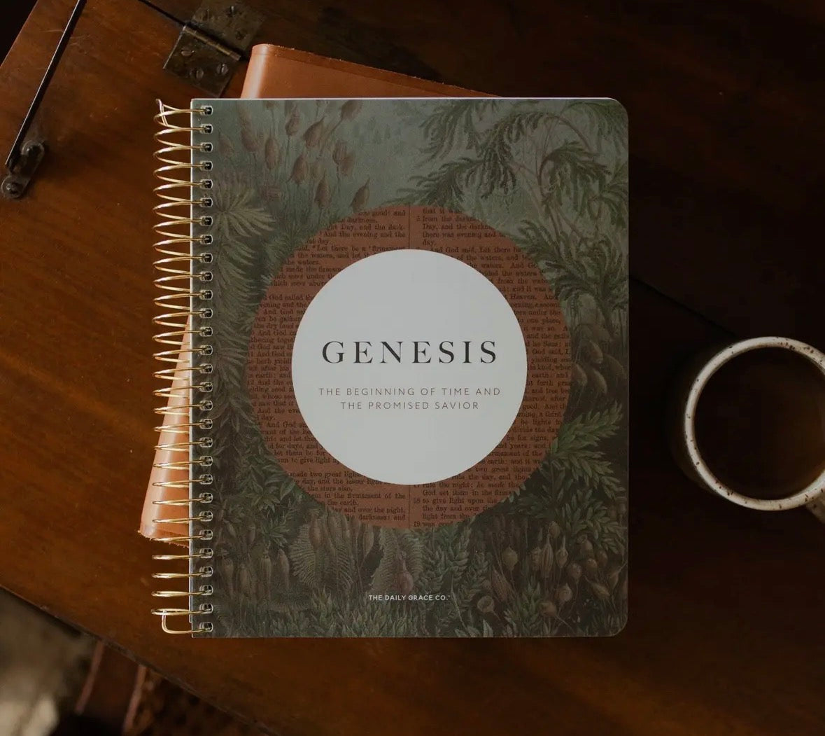 The Daily Grace Co | Genesis Spiral Study